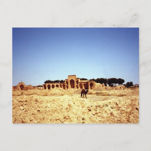 Camels de carte postale sur l'ancienne route de la (Devant)