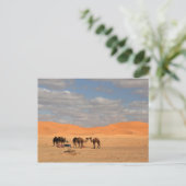 Camels in de Sahara-woestijn Briefkaart (Staand voorkant)
