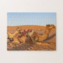 Camels in de woestijn van Oman Wahiba