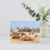 Camels in Doha Briefkaart (Staand voorkant)