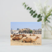 Camels in Doha Briefkaart (Staand voorkant)