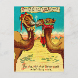 Camels in liefde, grappige  St. Valentijnse kamele Briefkaart