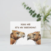 Camels Kissing Funny Carte postale (Debout devant)