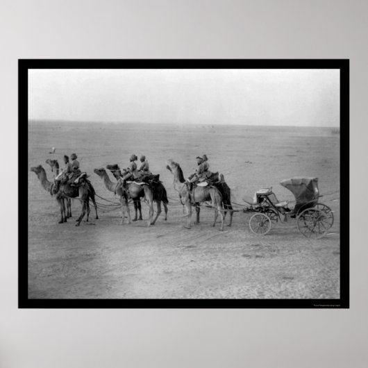 Camels Pulling a Carriage over the Sahara 1901 Poster (Voorkant)