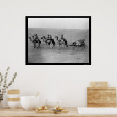 Camels Pulling a Carriage over the Sahara 1901 Poster (Keuken)