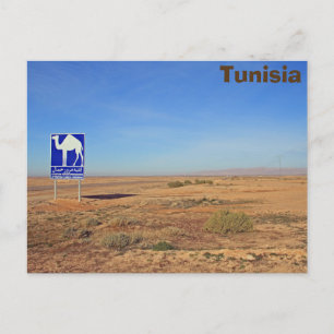 Camels-teken, Tunesië Briefkaart