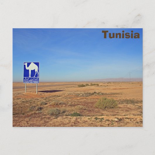 Camels-teken, Tunesië Briefkaart (Voorkant)