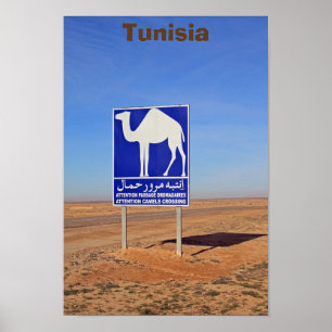 Camels-teken, Tunesië Poster