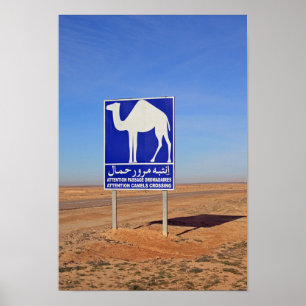 Camels-teken, Tunesië Poster