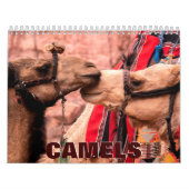 Camels Wall Calendar Kalender (Hoes)