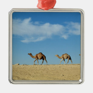 Cameltrein Metalen Ornament