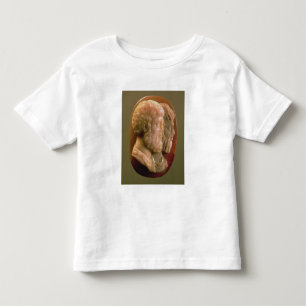 Cameo met Marcus Aurelius (121-180) en Luci Kinder Shirts