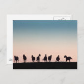 Camera Shy. Briefkaart (Voorkant / Achterkant)