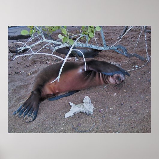 Camera Shy Poster (Voorkant)