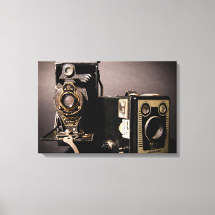 camera's omwikkeld canvas afdruk