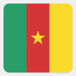 Cameroense Vlagsticker Vierkante Sticker