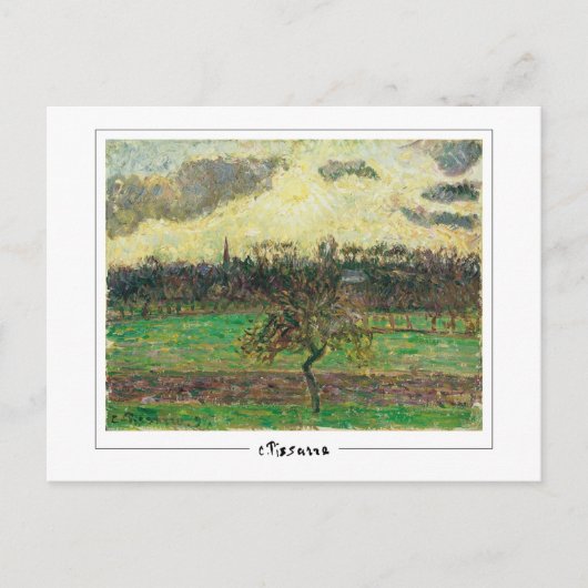 Camille Pissarro #539 - Carte postale Art (Devant)
