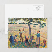 Camille Pissarro - Apple Harvest Briefkaart (Voorkant / Achterkant)