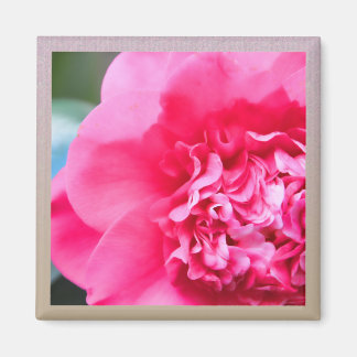 Camillia Artisan Rose Flower Magnet