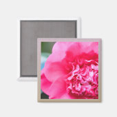 Camillia artistieke roze bloem magneet (Voorkant / Achterkant)