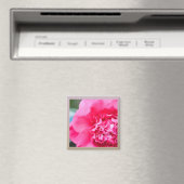 Camillia artistieke roze bloem magneet (Insitu (Vaatwasser))
