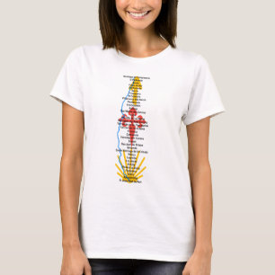Camino de Santiago T-Shirt