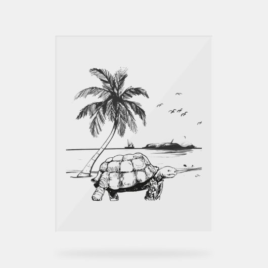 Camion bleu de la tortue marine (Recto)