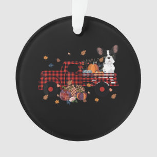 Camion Citrouille Bulldog Thanksgiving Cadeau Hall