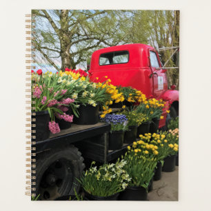 Camion rouge avec fleurs de printemps et arc en ci