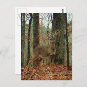 Camo, Camouflage Deer Briefkaart (Voorkant / Achterkant)