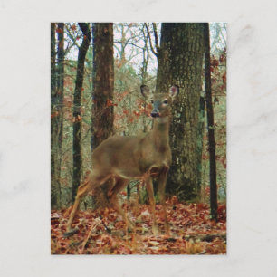 Camo, Camouflage Deer Briefkaart