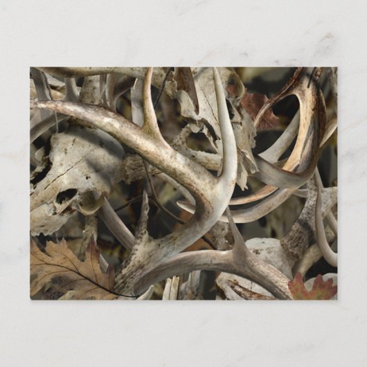 Camo Deer Skulls Briefkaart (Voorkant)