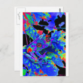 Camo Frog Briefkaart (Voorkant / Achterkant)