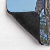 Camouflaed Great Grey Owl and Tree Wildlife Foto Muismat (Hoek)