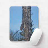 Camouflaed Great Grey Owl and Tree Wildlife Foto Muismat (Met muis)