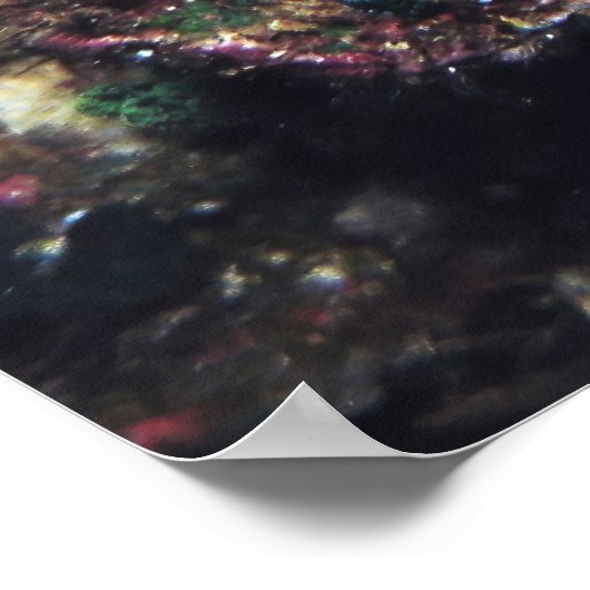 Camouflaed Scorpionfish Poster (Hoek)