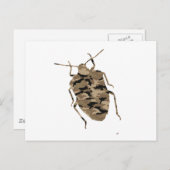 Camouflage Cockroach Silhouette Briefkaart (Voorkant / Achterkant)