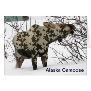 Camouflage Moose