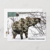 Camouflage Moose Briefkaart (Voorkant / Achterkant)