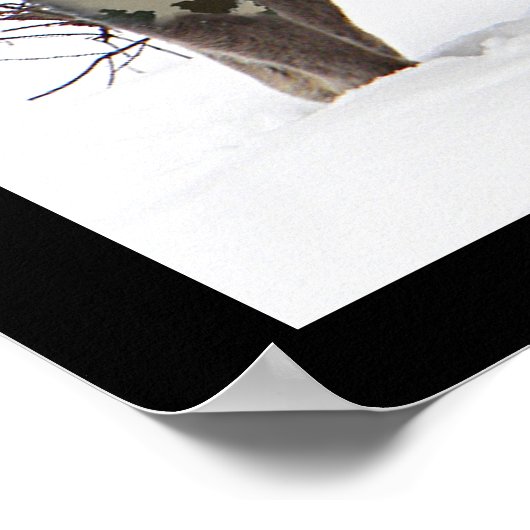 Camouflage Moose Poster (Hoek)