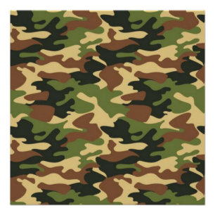 camouflage perfect poster