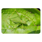 Camouflage vert Magnet Premium (Horizontal)