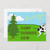 Camp Running Cow - Postcard Briefkaart (Voorkant / Achterkant)