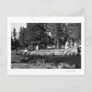 Camp Sherman, uitzicht Oregon van Rogers Cabins Briefkaart