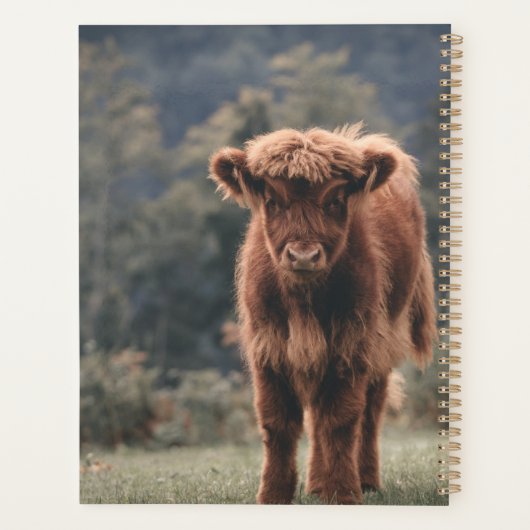 Campagne d'herbe d'automne de la vache de haute-te (Dos)