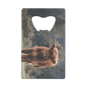 Campagne d'herbe d'automne de la vache de haute-te