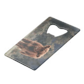 Campagne d'herbe d'automne de la vache de haute-te (Devant Angle)