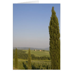 Campagne près de Pienza. Val d'Orcia, Sienne