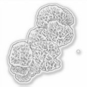 Campamalia Mushroom Sticker (Voorkant)