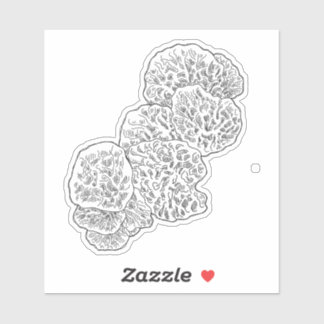 Campamalia Mushroom Sticker